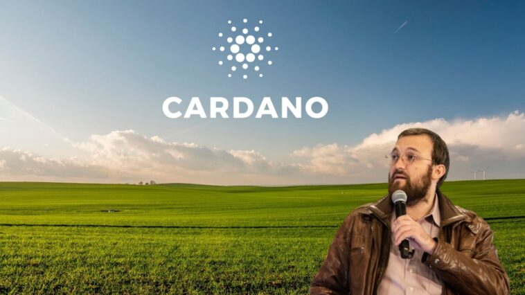 Cardano (ADA) Price Spikes as Update on Shelly Hard Fork Is Released