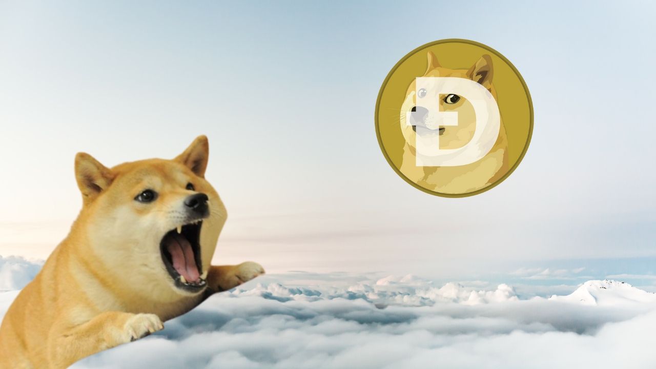 Dogecoin Up 100% After Viral Tik Tok Video - JRNY Crypto