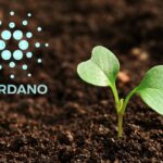 IOHK sets up a cFund worth $20M for Development of Cardano Ecosystem