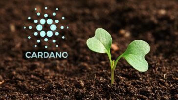IOHK sets up a cFund worth $20M for Development of Cardano Ecosystem